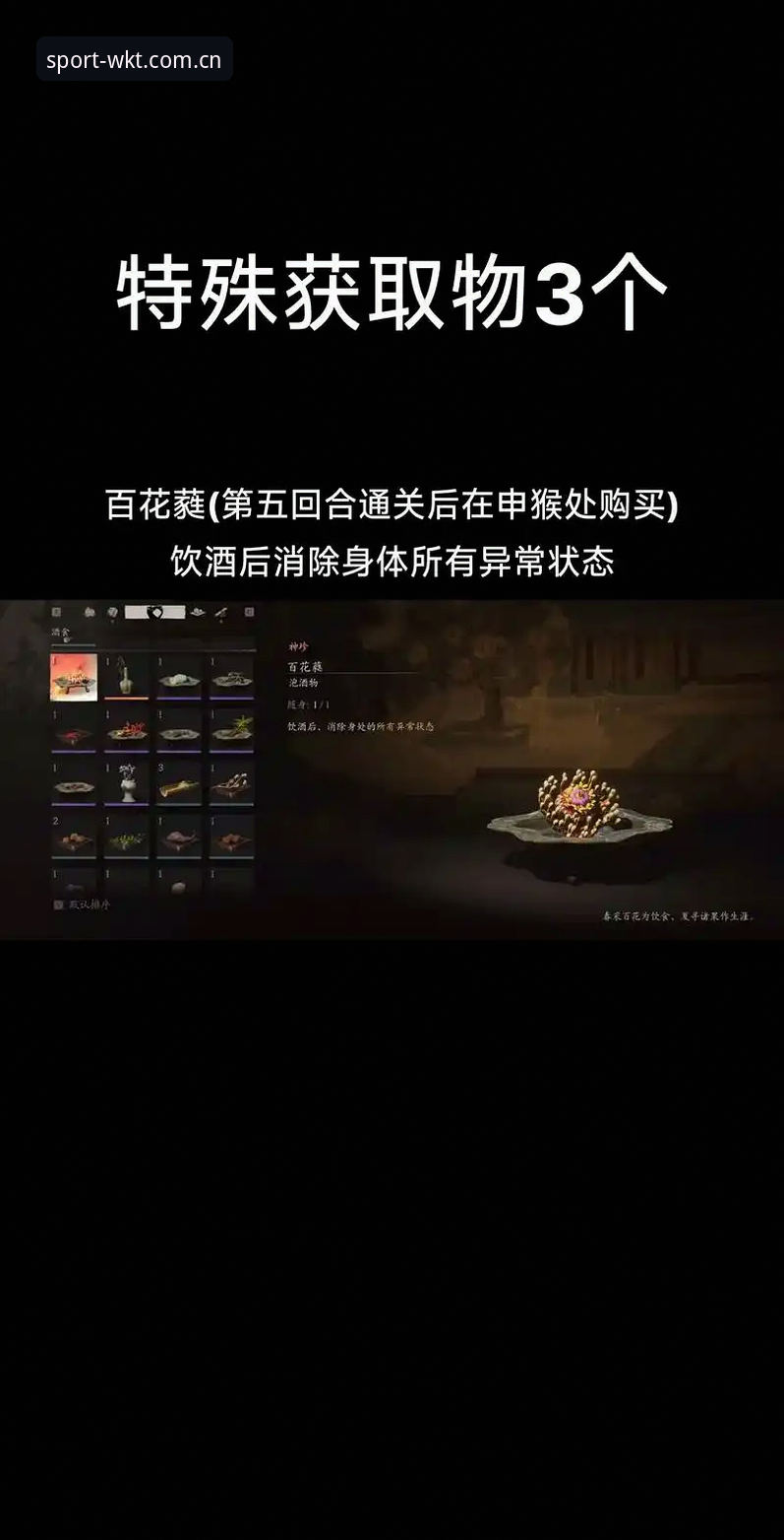 悟空体育官方版本哪个好 悟空体育官方版本选择指南:从安装到使用的完整教程